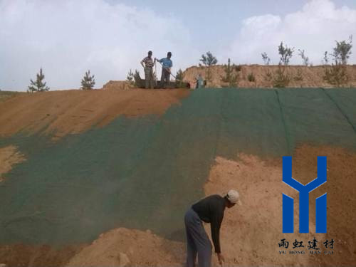 三維植被網(wǎng)http://www.azjpc.com/