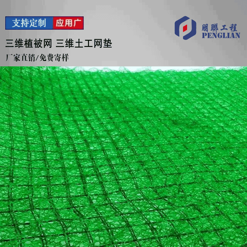 仙桃三維植被網 仙桃護坡土工網墊