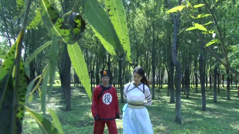怀旧影苑视频下载新作品之古装定制剧神補之江南烟云（上）三大美籹颜值演技均在线！本作品可在线看！